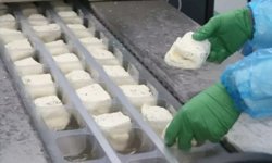 KTSO: “Yeşil Hat üzerinden hellim ihracatındaki engel kalkıyor”