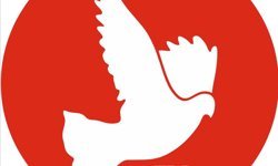 TDP: “Şap hastalığıyla mücadelede iki toplum arasındaki iş birliği hayati önem taşıyor”