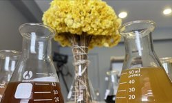 Bitkisel ürünlerin bilinçsiz kullanımı ciddi sağlık sorunlarına yol açabiliyor