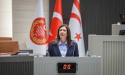 İncirli'nin Meclis konuşması