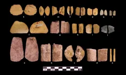 Araştırma: İlk kumar oynayanlar kadındı