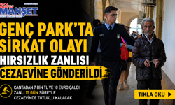 Hırsızlık Zanlısı Cezaevine Gönderildi