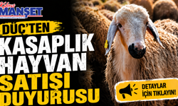 DÜÇ’ten kasaplık hayvan satışı duyurusu