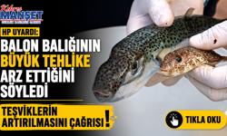 HP Balon Balığının büyük tehlike arz ettiğini söyledi ve teşviklerin arttırılması çağrısında bulundu