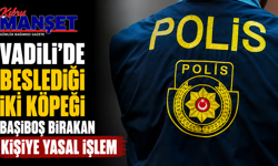 Vadili’de beslediği iki köpeği başıboş bırakan kişiye yasal işlem