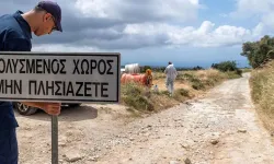 Şap hastalığı… Pahna bölgesinde itlaflar şimdilik ertelendi