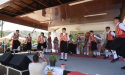 15. Geleneksel Yeşilırmak Çilek Festivali bugün düzenlenen törenle başladı