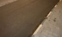 Lefke Çevre ve Ekoloji Derneği foseptik kuyunun yol açtığı çevre kirliliğine karşı uyardı