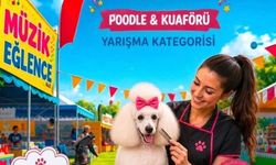 Alagadi’de evcil hayvanlar için festival düzenleniyor