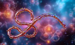 Nijerya, Ebola virüsü tehdidine karşı alarma geçti