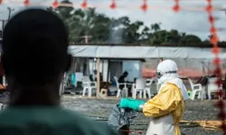 Kongo'da ebola salgını: Ölü sayısı 118'e yükseldi