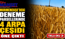 Mormenekşe'deki deneme parsellerinde 4 arpa çeşidi öne çıktı
