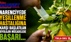 Narenciyede yeşillenme hastalığına karşı başlatılan biyolojik mücadelede başarı...