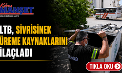 LTB, sivrisinek üreme kaynaklarını ilaçladı
