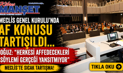 Meclis Genel Kurulu’nda af konusu tartışıldı... Oğuz: "Herkesi affedecekleri söylemi gerçeği yansıtmıyor"