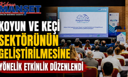Koyun ve keçi sektörünün geliştirilmesine yönelik etkinlik düzenlendi