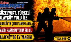 Güzelyurt, Türkeli-Alayköy yolu ile Alayköy’de çıkan yangınlarda maddi hasar meydana geldi