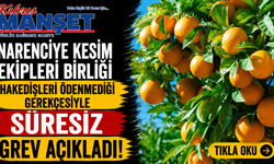 Narenciye Kesim Ekipleri Birliği hakedişleri ödenmediği gerekçesiyle süresiz grev açıkladı