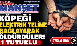 Sipahi'de köpeğin öldürülmesi olayıyla ilgili 66 yaşında bir kişi tutuklandı