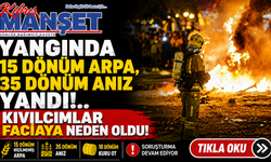 Vadili'de 15 dönüm arpa yandı