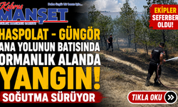 Haspolat - Güngör ana yolunun batısındaki ormanlık alanda yangın.. Soğutma sürüyor