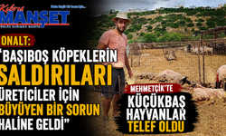 Onalt: “Başıboş köpeklerin saldırıları üreticiler için büyüyen bir sorun haline geldi"
