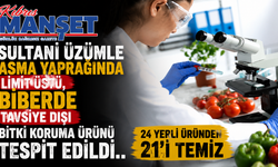 Sultani üzümle asma yaprağında limit üstü, biberde tavsiye dışı bitki koruma ürünü tespit edildi