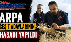 Arpa çeşit adaylarının hasadı yapıldı
