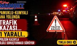 Pamuklu-Kumyalı ana yolunda trafik kazası... 1 yaralı..