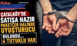Çatalköy'de satışa hazır paketler halinde uyuşturucu bulundu...4 tutuklu var