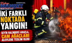 İki farklı noktada yangın… Seyir halindeki araçla, çam ağaçları alevlere teslim oldu
