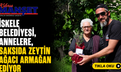 İskele Belediyesi, annelere, saksıda zeytin ağacı armağan ediyor