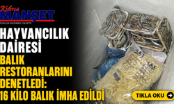 Hayvancılık Dairesi balık restoranlarını denetledi: 16 kilo balık imha edildi