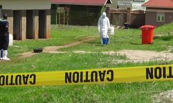 DSÖ alarm verdi: Ebola salgını küresel halk sağlığı acil durumu ilan edildi