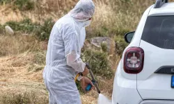 Pahna köyünde şap hastalığı nedeniyle gerginlik