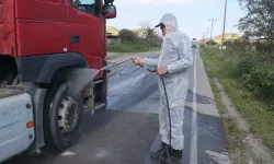 Güney Kıbrıs'ta şap hastalığı yayılmaya devam ediyor