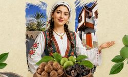Lefke Ceviz Festivali, pazar günü yapılacak