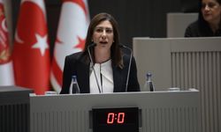CTP Genel Başkanı İncirli'nin Meclis konuşması...