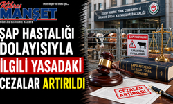 Şap hastalığı dolayısıyla ilgili yasadaki cezalar artırıldı