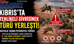 Kıbrıs’ta hastalık riski taşıyan iki tür sivrisinek resmen ECDC haritasında