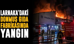 Larnaka'daki donmuş gıda fabrikasında yangın