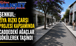 Şenkul, Ziya Rızkı Çarşı Projesi kapsamında caddedeki ağaçların sökülerek taşındığını söyledi