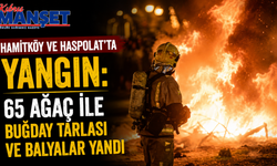Hamitköy ve Haspolat’ta yangın: 65 ağaç ile buğday tarlası ve balyalar yandı