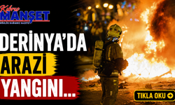 Derinya’da arazi yangını…