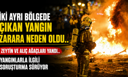 İki ayrı bölgede çıkan yangın zarara neden oldu