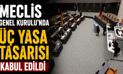 Meclis Genel Kurulu'nda üç yasa tasarısı kabul edildi
