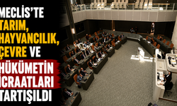 Meclis’te tarım, hayvancılık, çevre ve hükümetin icraatları tartışıldı