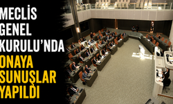 Meclis Genel Kurulu'nda onaya sunuşlar yapıldı