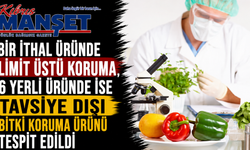 Bir ithal üründe limit üstü koruma, 6 yerli üründe ise tavsiye dışı bitki koruma ürünü tespit edildi