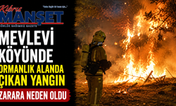 Mevlevi köyünde ormanlık alanda çıkan yangın zarara neden oldu